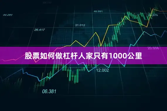 股票如何做杠杆人家只有1000公里