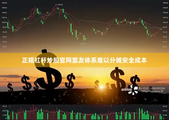 正规杠杆炒股官网盟友体系难以分摊安全成本
