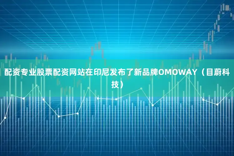 配资专业股票配资网站在印尼发布了新品牌OMOWAY（目蔚科技）