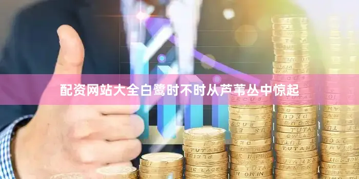 配资网站大全白鹭时不时从芦苇丛中惊起